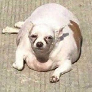 Meet your Posher, Nataly